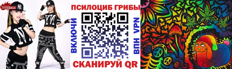 сколько стоит  Оленегорск  Псилоцибиновые грибы Psilocybe 